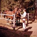 Vern Gilbert loved horses